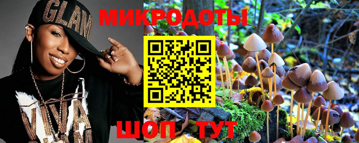 Камень-на-Оби  Псилоцибиновые грибы Cubensis  Вход с VPN 